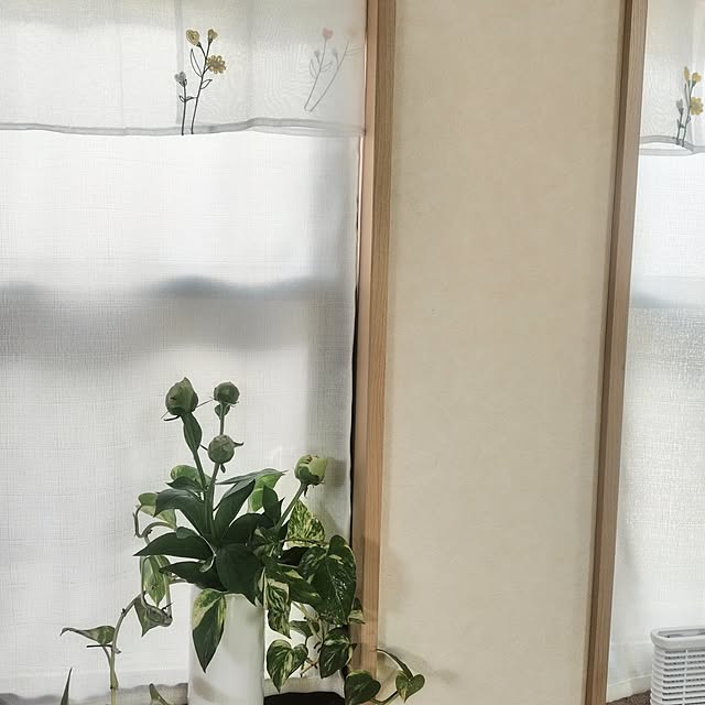Ri-さんの部屋
