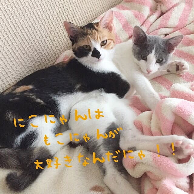 sayaka.さんの実例写真