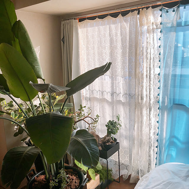 nekoyamaさんの実例写真