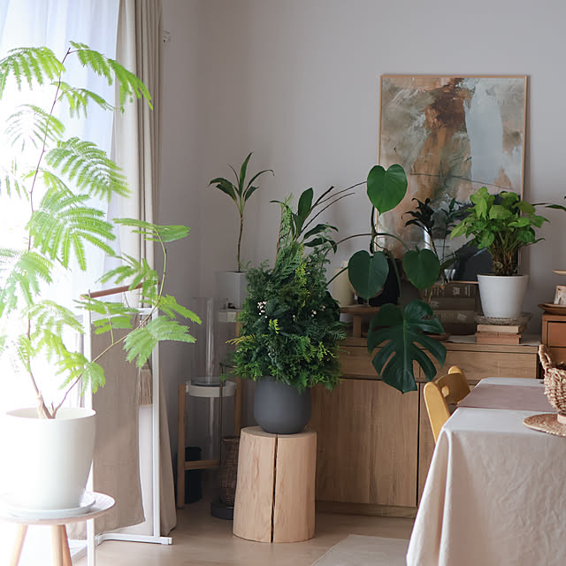 Summerさんの部屋