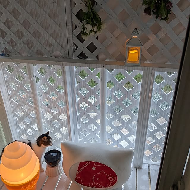 machikomamaさんの部屋