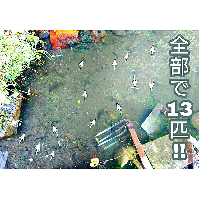 minaraiさんの実例写真