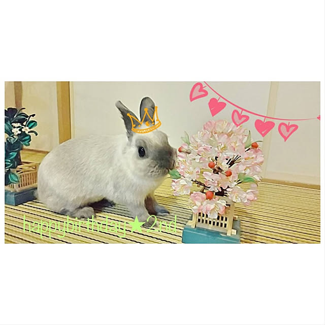 makiさんの実例写真
