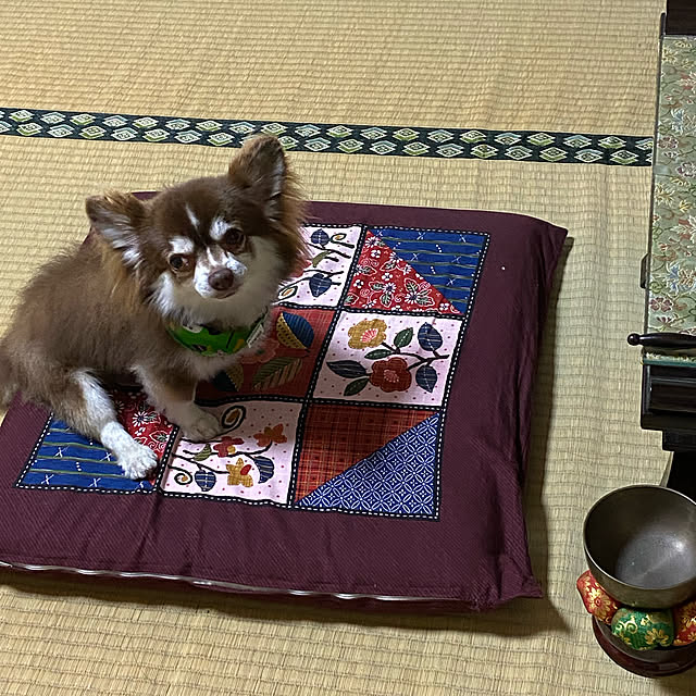 chIoeさんの実例写真