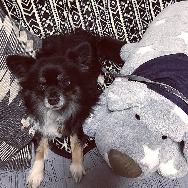 ruteiさんの実例写真