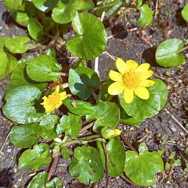 hiro.904さんの部屋