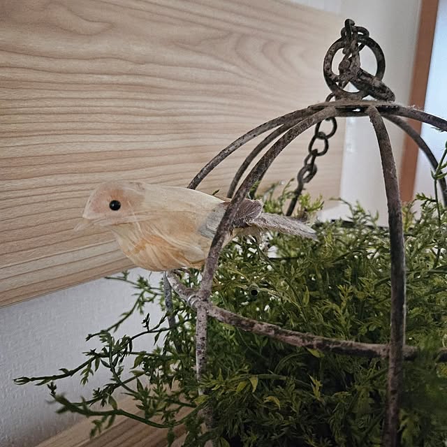 mogmogさんの部屋
