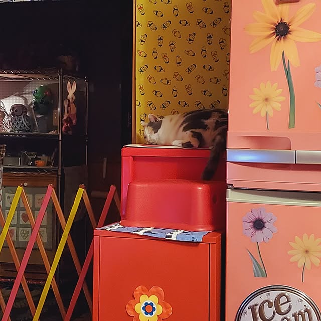 kumutanさんの部屋