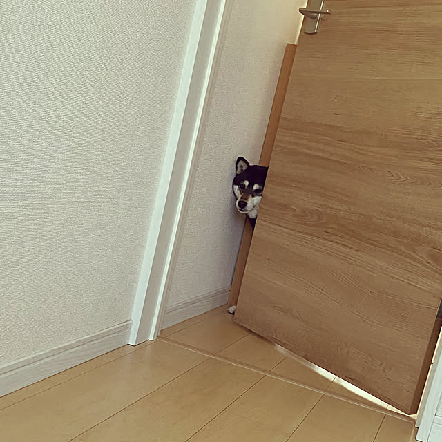 h.n.さんの実例写真