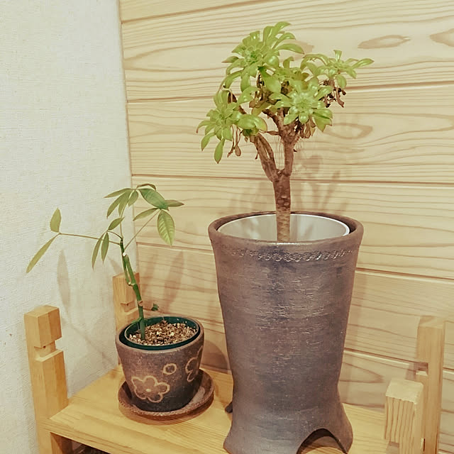 makirincoさんの実例写真