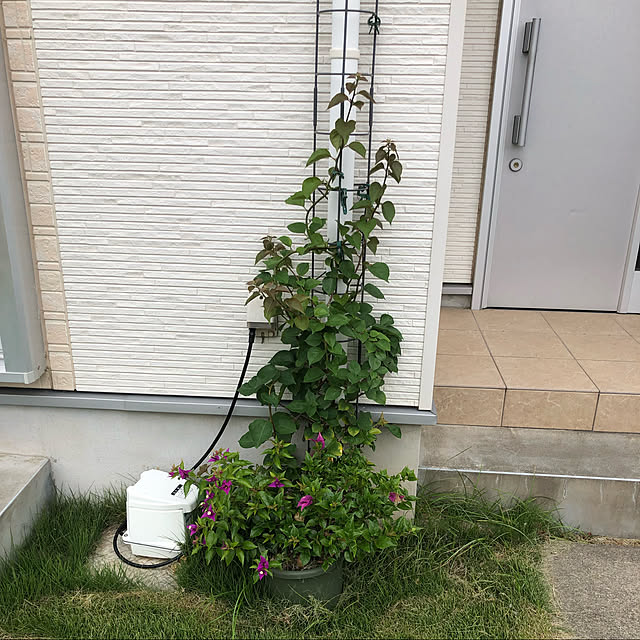 SAKさんの実例写真