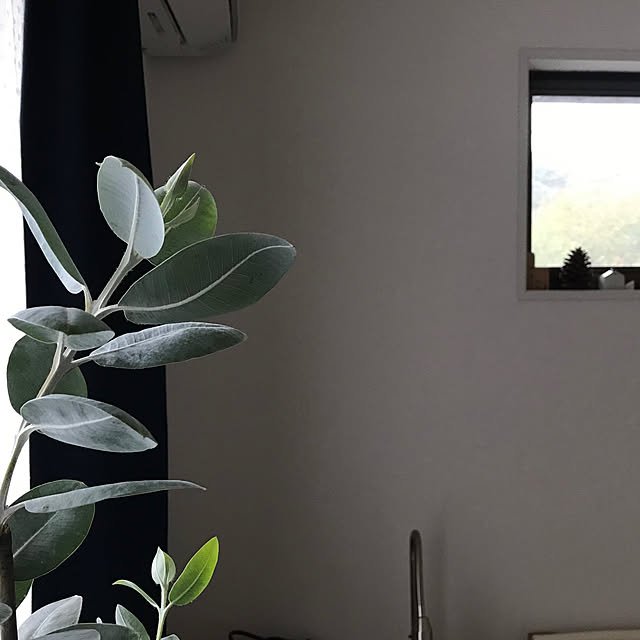 marucoさんの実例写真