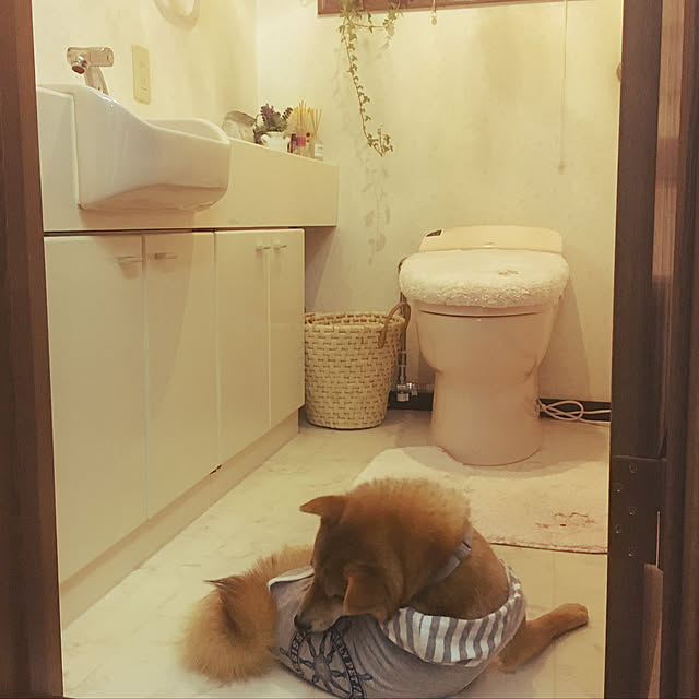 tanyuumoさんの実例写真