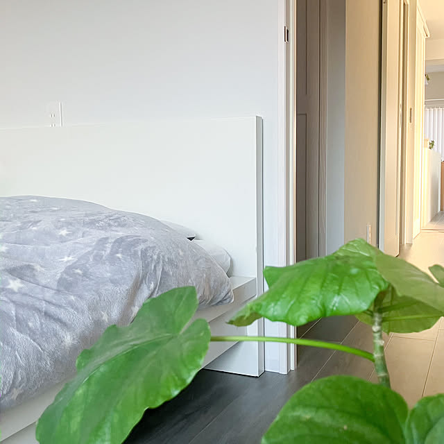 Saraさんの部屋