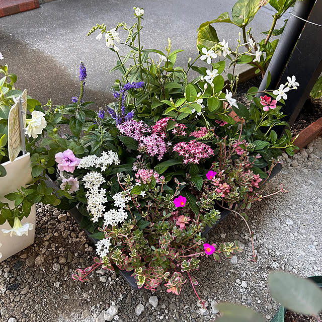 prelumoさんの部屋