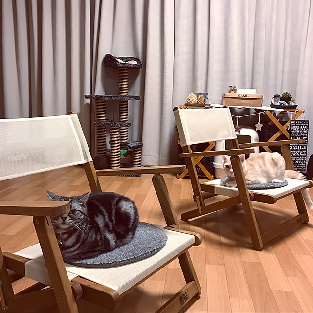 hiyupan88さんの実例写真