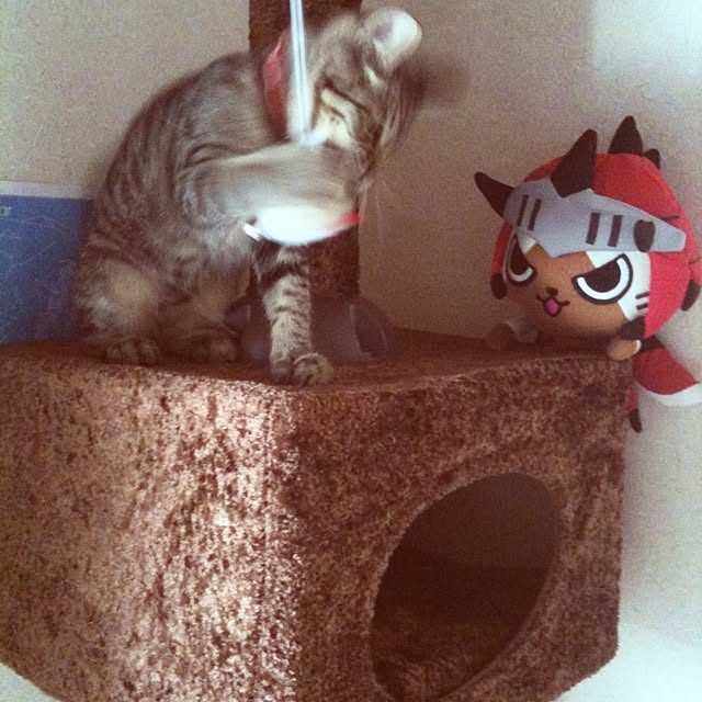HouQさんの実例写真