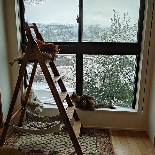 hagyu7kuroさんの部屋