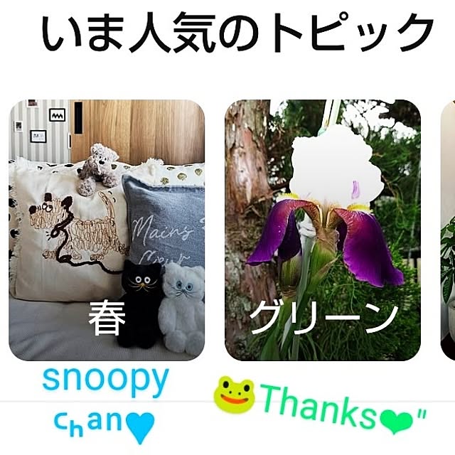 katさんの部屋