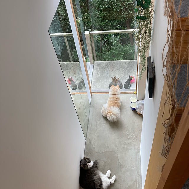 TKさんの実例写真