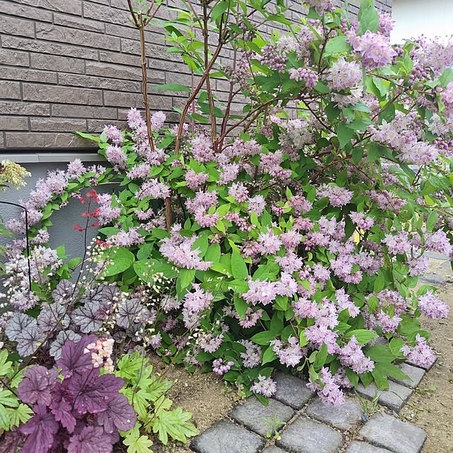 moonさんの部屋