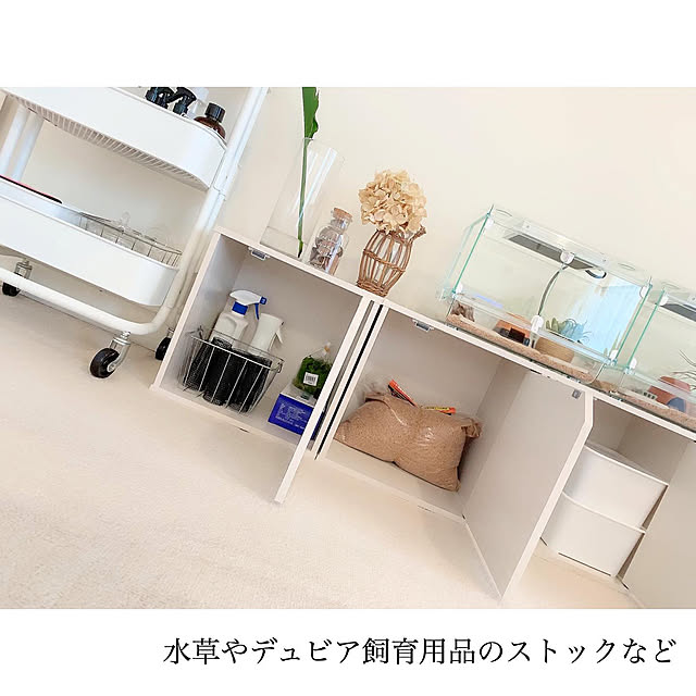 chaluさんの実例写真