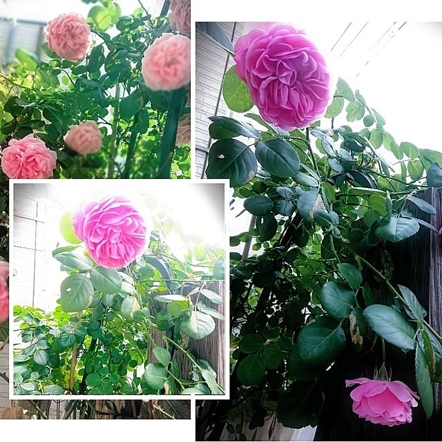 kyooonさんの部屋