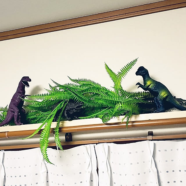 kanasanさんの実例写真