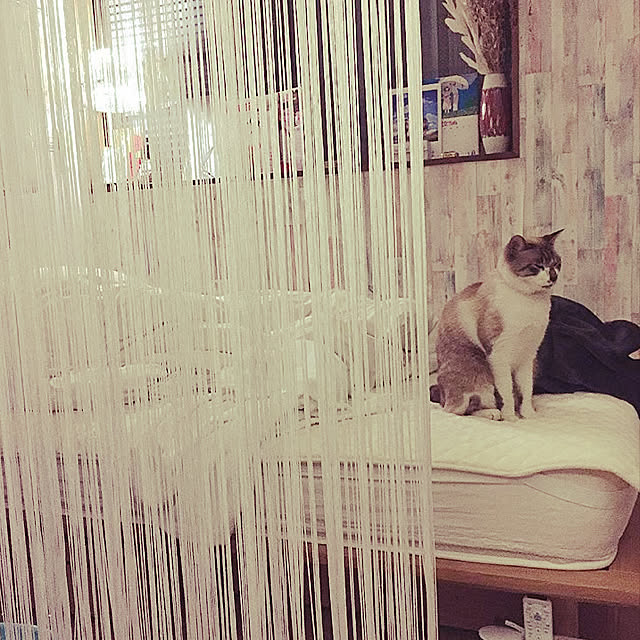 momoさんの実例写真