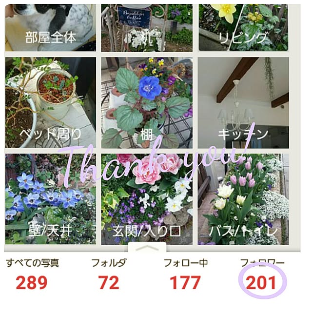 yukkoさんの実例写真
