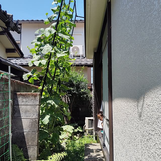 momomamaさんの部屋