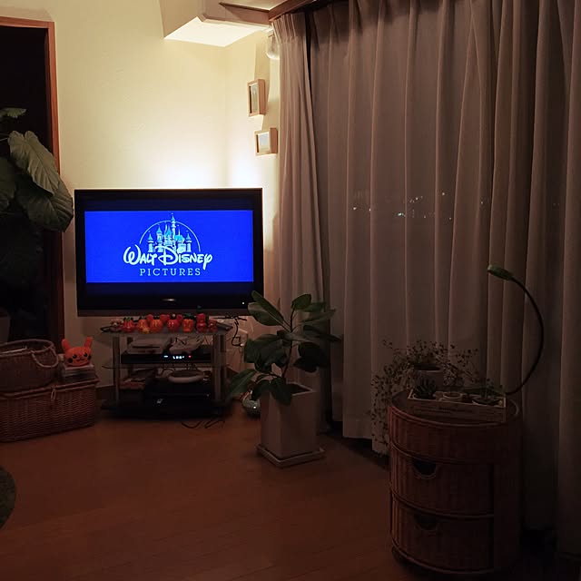 konorinokoさんの実例写真