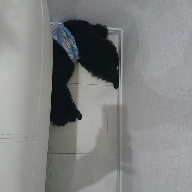 ucaさんの実例写真