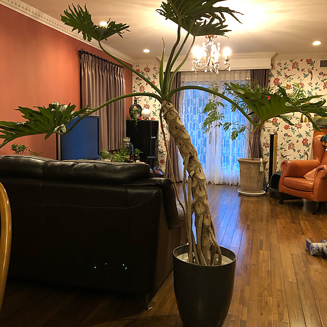 cocoさんの実例写真