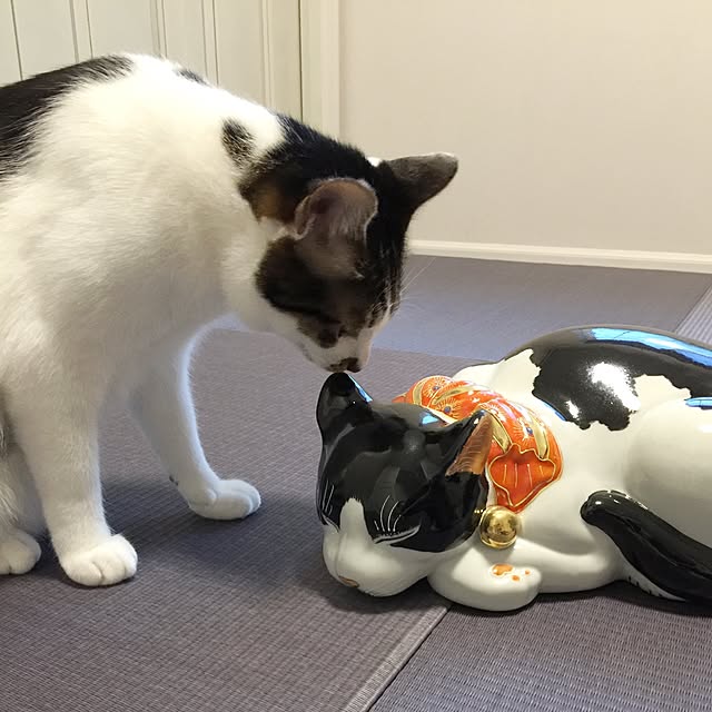 yuchiさんの実例写真