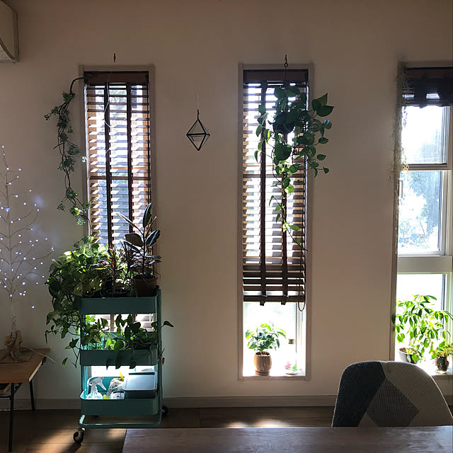 観葉植物/IKEA/フェイクグリーン/リビングのインテリア実例 - 2022-11-04 19:50:17
