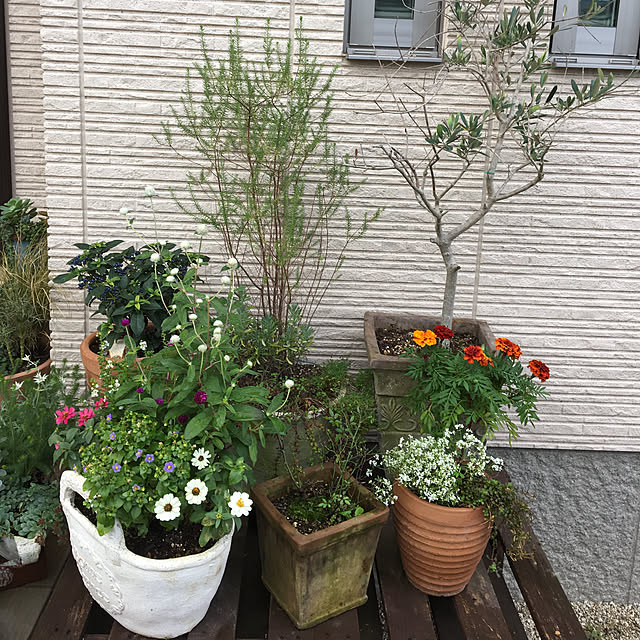 sanw2225719さんの実例写真