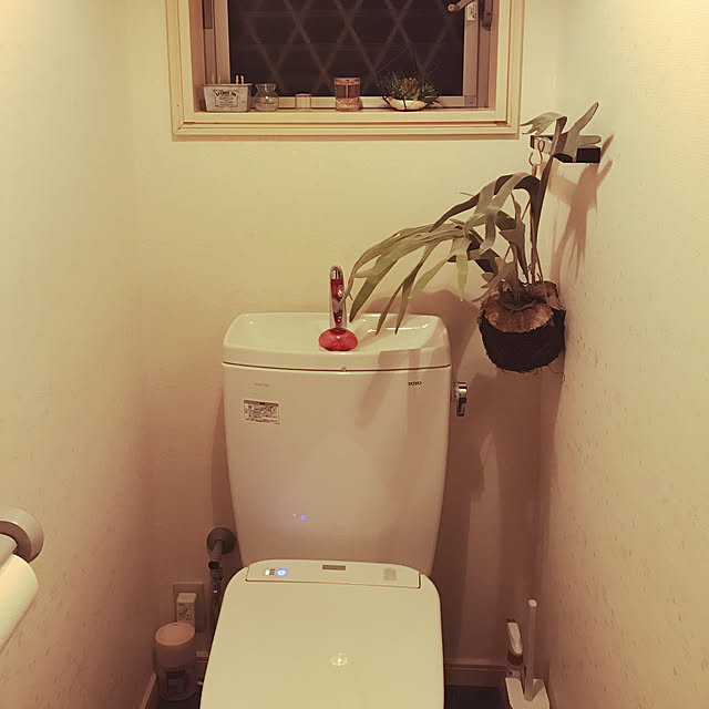 mami0822さんの実例写真