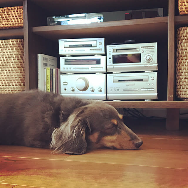 mimosaさんの実例写真
