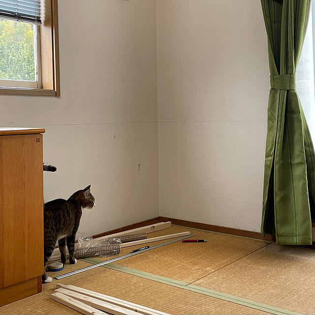 nobikoさんの部屋