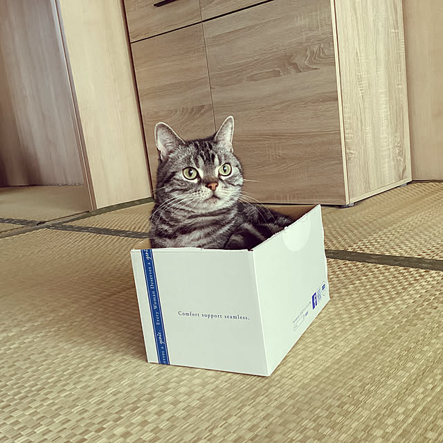 richanさんの実例写真