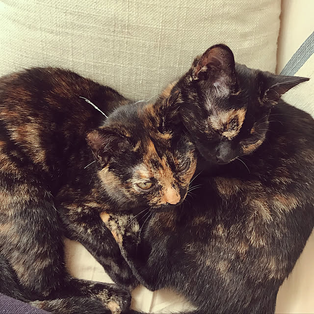 mさんの実例写真