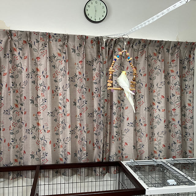 toratanさんの部屋