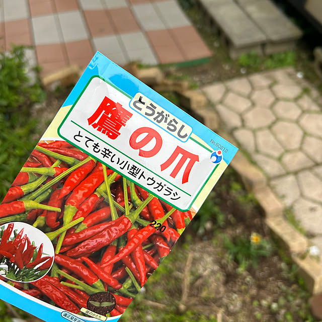 Fumiさんの部屋