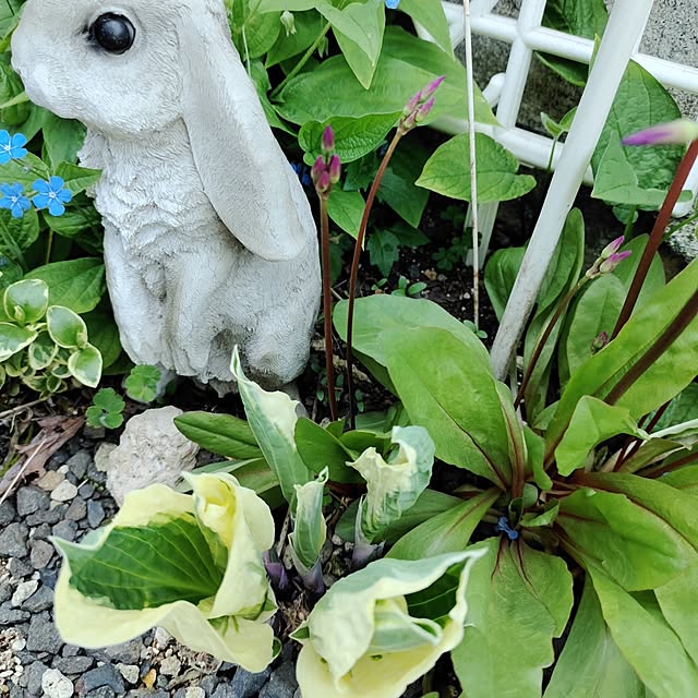 kiraさんの部屋