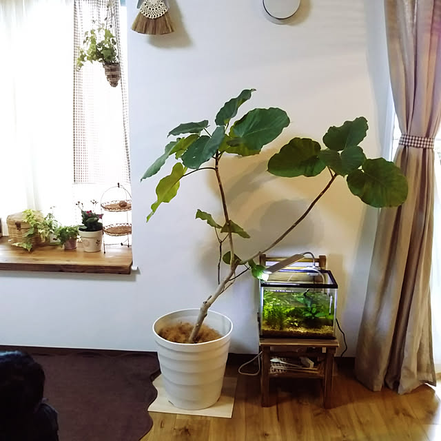 yukko.kさんの実例写真