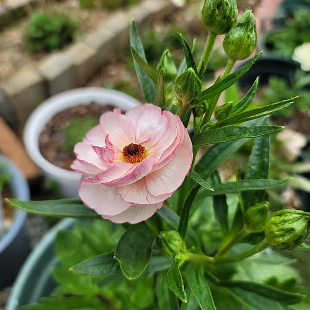 VIORAさんの実例写真