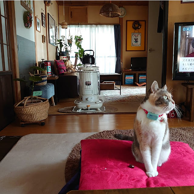 fukuさんの実例写真
