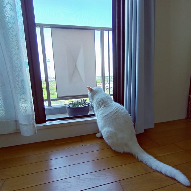 NOAHさんの実例写真