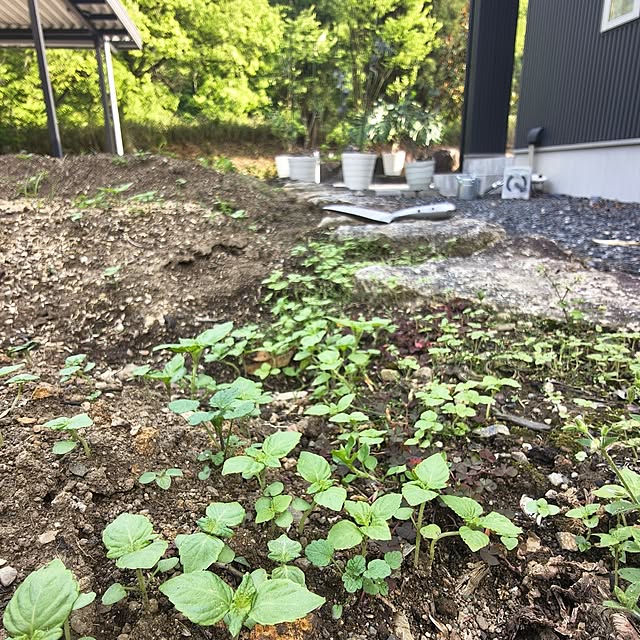 Rubiconさんの部屋